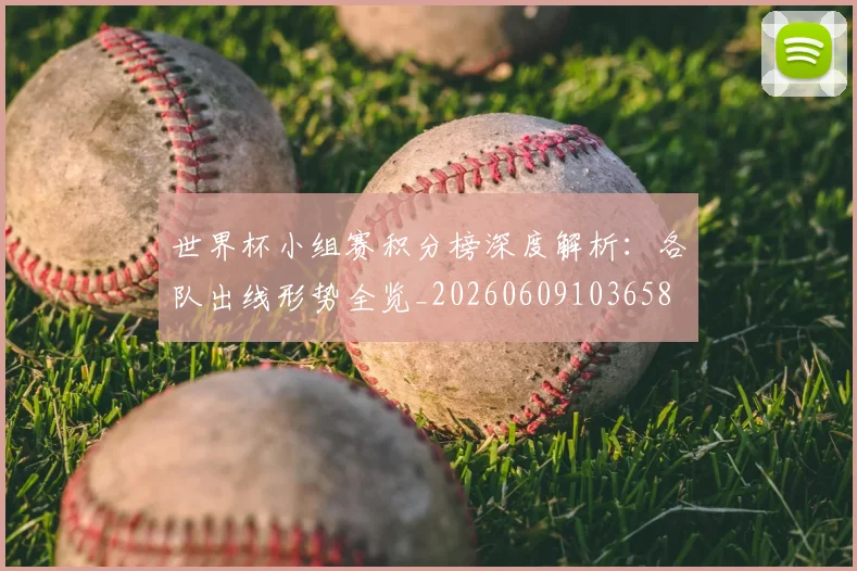 世界杯小组赛积分榜深度解析：各队出线形势全览_20260609103658