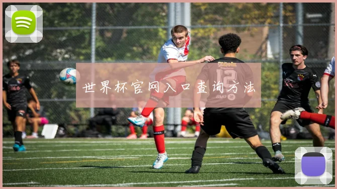 世界杯官网入口查询方法