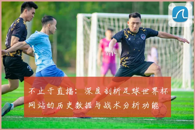 不止于直播:深度剖析足球世界杯网站的历史数据与战术分析功能