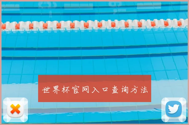 世界杯官网入口查询方法