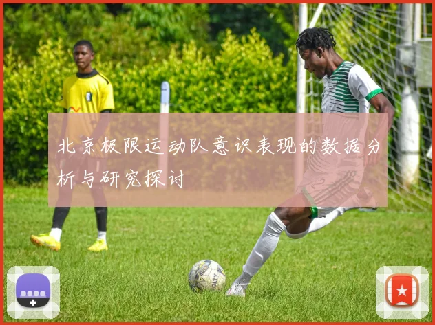 北京极限运动队意识表现的数据分析与研究探讨