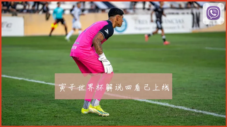 寅子世界杯解说回看已上线